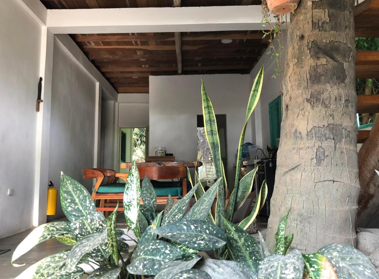 Casa Kashiikaii Hotel Palomino Luaran gambar